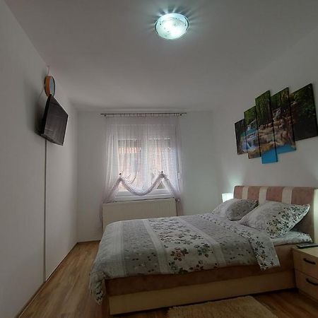 Appartement Exclusive à Paraćin Extérieur photo
