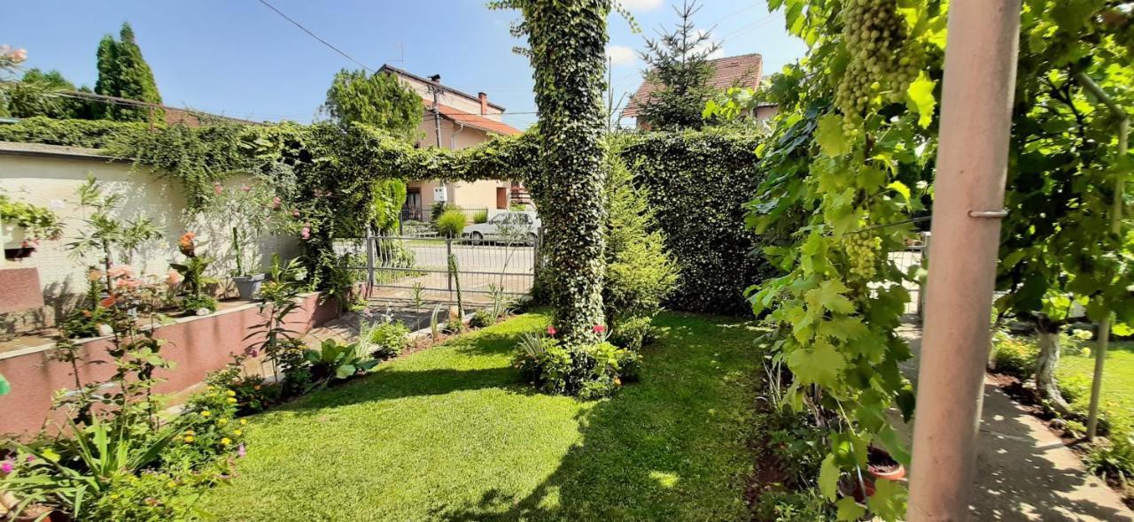Appartement Exclusive à Paraćin Extérieur photo